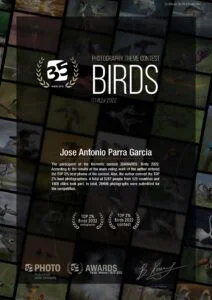 35awards birds art joseaparra photographer artist