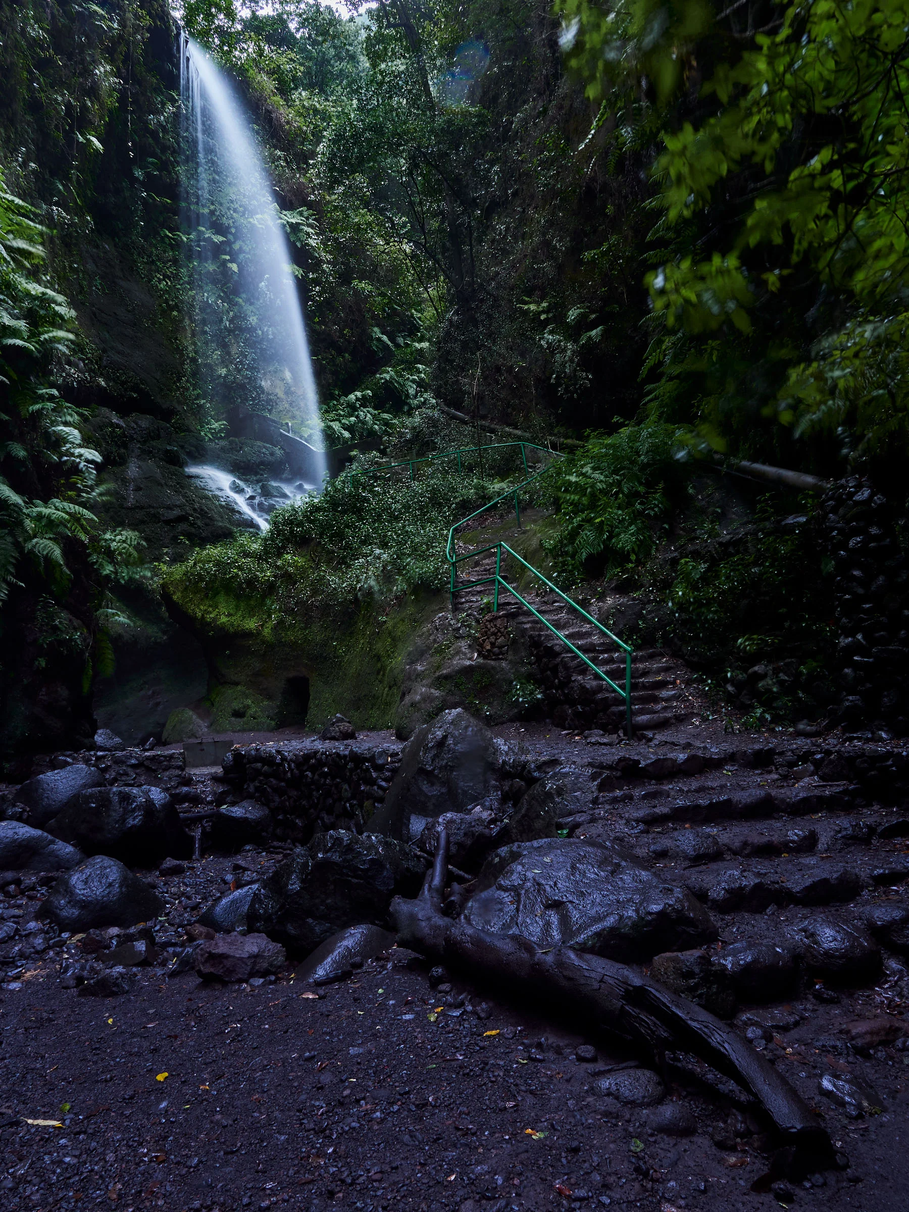 Travel La Palma Canary Islands Spain Jose A Parra Forest